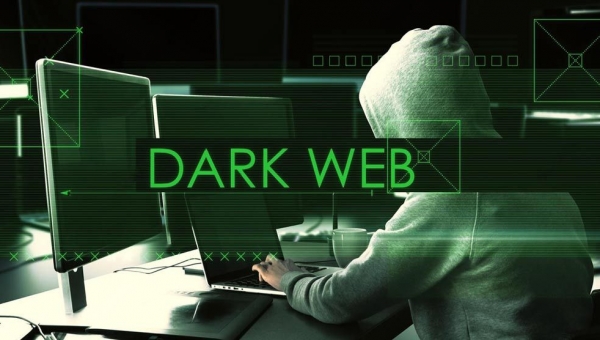 Esplorando il digitale oscuro: viaggio nel Dark Web